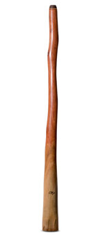 Tristan O'Meara Didgeridoo (TM482)